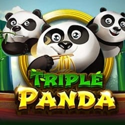Triple Panda